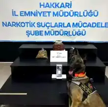 Hakkari'de 13 Kilo Metamfetamin Operasyonu