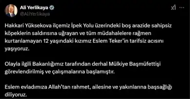 Sokak Köpekleri Saldırısı: 12 Yaşındaki Eslem Teker Hayatını Kaybetti