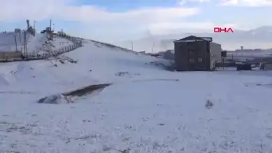 12 Yaşındaki Eslem, Sokak Köpeklerinin Saldırısına Kurban Gitti