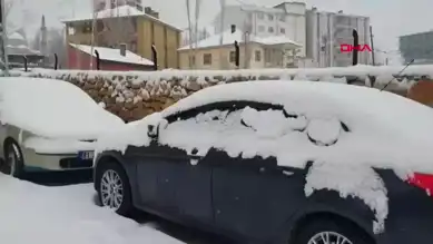 Van'da Yoğun Kar Yağışı Trafiği Felç Etti