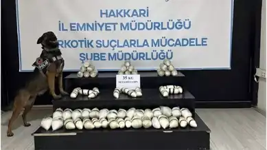 Doğu Anadolu'da Büyük Uyuşturucu Operasyonu: 35 Kilo Metamfetamin Ele Geçirildi
