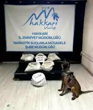 Yüksekova'da 60 Kilo Eroin Ele Geçirildi
