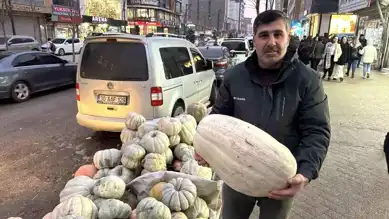 Yüksekova'da Kışın Lezzeti: Bal Kabakları
