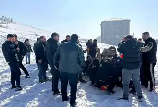 Yüksekova'da Köpek Saldırısı: 12 Yaşındaki Kız Ağır Yaralı
