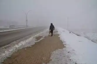 Yüksekova'da Sis ve Soğuk Hayat Felç Ediyor