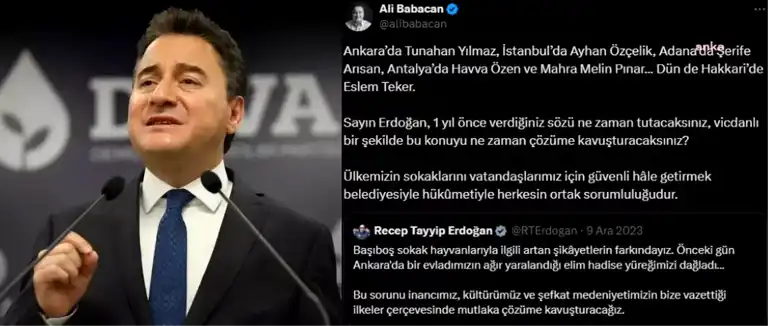 Babacan: Erdoğan'dan Köpek Sorununa Çözüm İstiyor