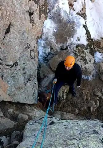 Hakkari'de Mahsur Keçiler Kurtarıldı