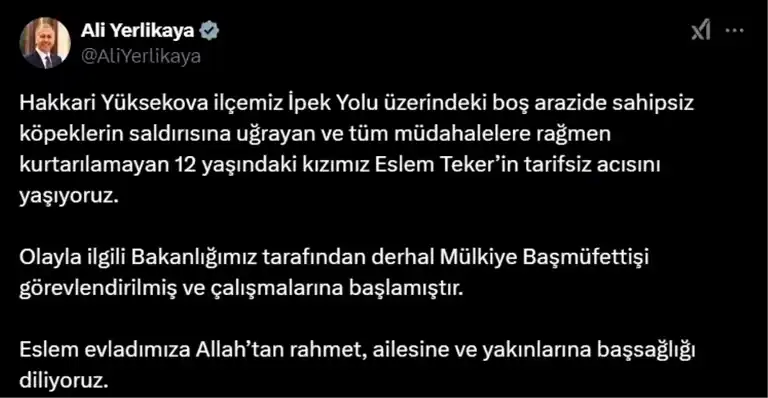 Sokak Köpekleri Saldırısı: 12 Yaşındaki Eslem Teker Hayatını Kaybetti