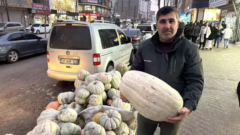 Yüksekova'da Kışın Lezzeti: Bal Kabakları